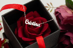 jpeg-optimizer_DSC_0648